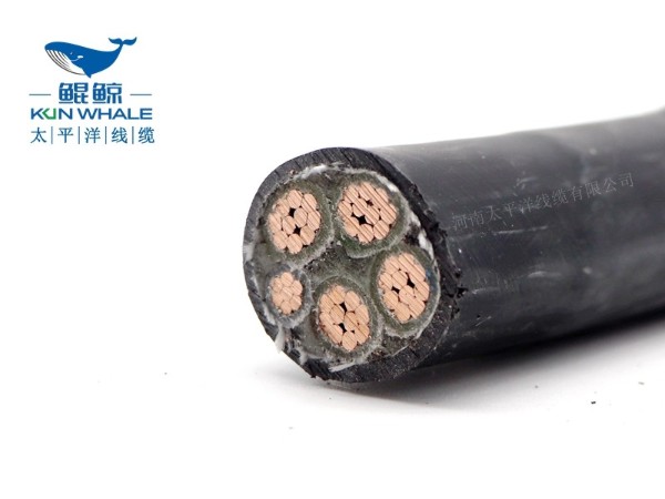 低煙無鹵電纜應(yīng)用在哪些場所你知道嗎？