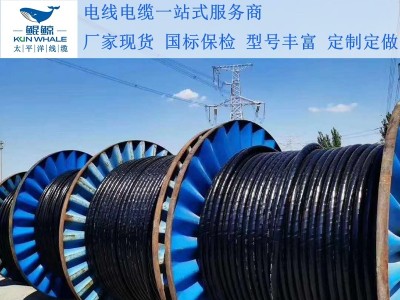 鄭州電纜廠淺談電纜著火怎么辦呢？撲救辦法在這里