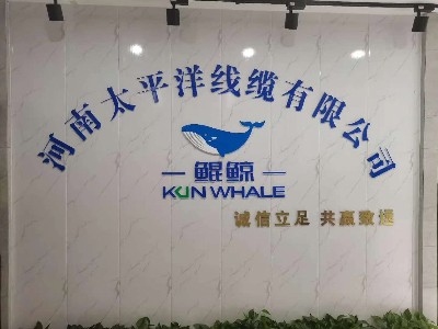 牛商爭霸中段總結，河南太平洋線纜賦能發(fā)展